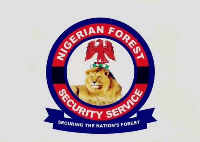 Uniting for Forest Security: Why Harmonising NFSS and NFG May Reshape Nigeria’s Fight Against Rural Insecurity
