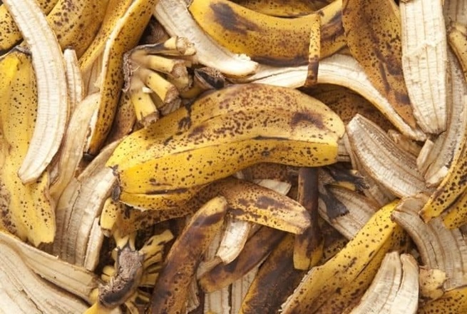 Converting Plantain Peels into Over 100 Innovative Products