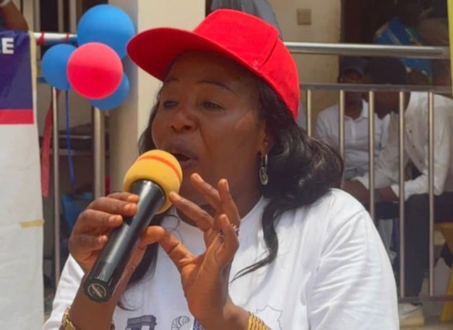 Private Schools Deserve UBEC, NGOs’ Support – Proprietress